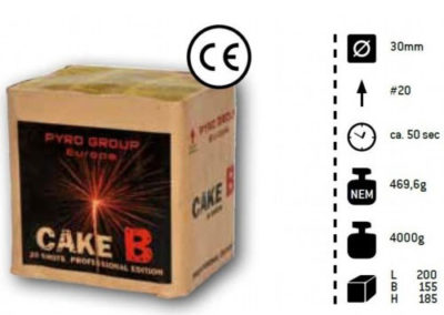 Feuerwerk kaufen München Cake B